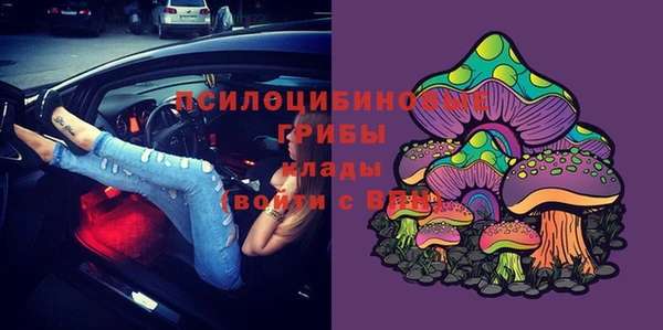 сатива Абдулино