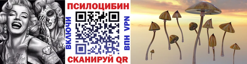 Псилоцибиновые грибы мицелий Яблоновский